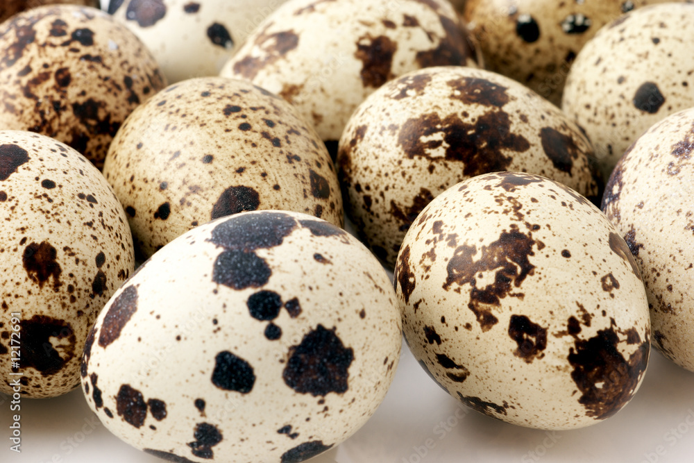 Quail eggs