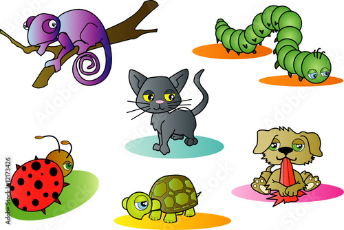 simpatici animali