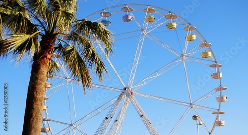 Grande roue derrière un palmier © Bernard GIRARDIN