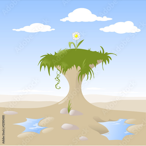 vita nel deserto