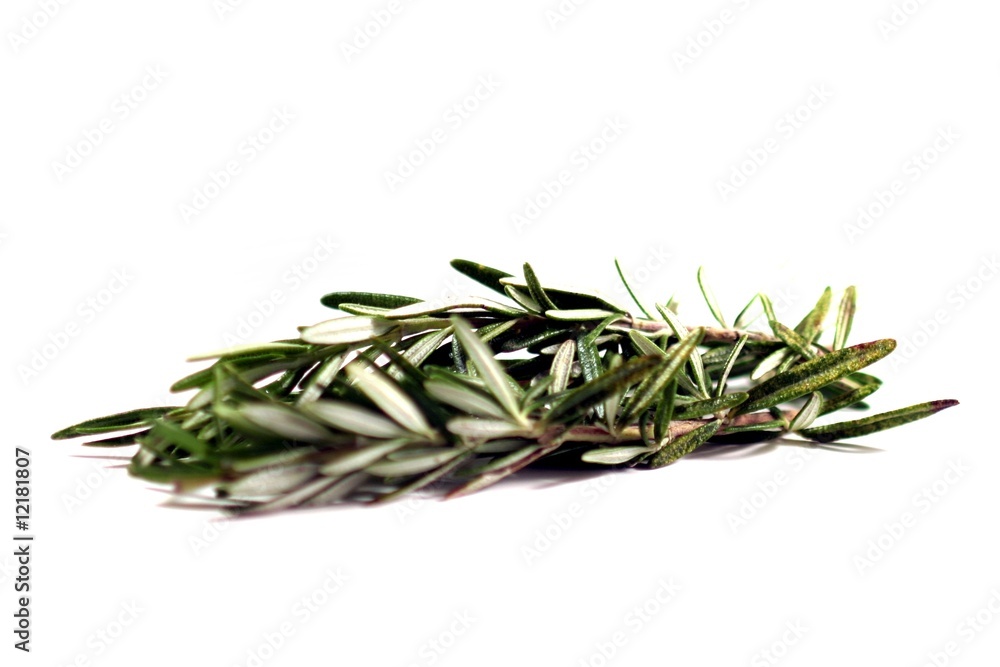 Rosemary Rosemary