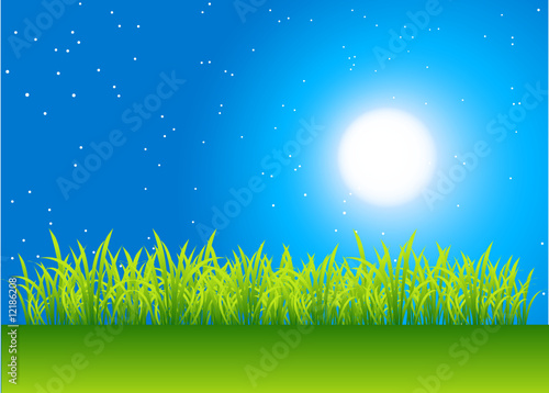 Night field