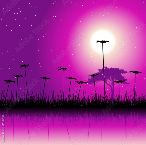 Night field and flowers