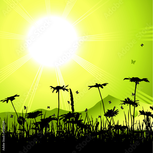 Landscape, nature, grass and butterflies, sun