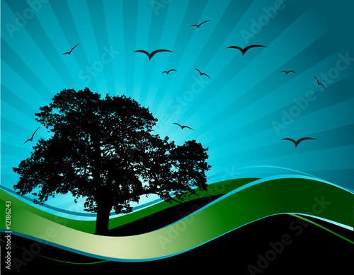 Old tree silhouette, season background