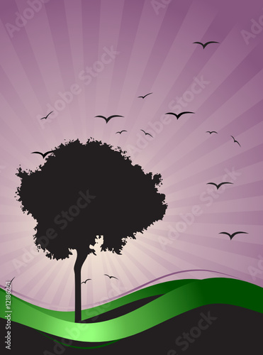 Old tree silhouette, season background