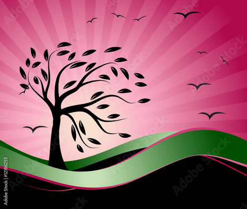 Tree beautiful silhouette, season background