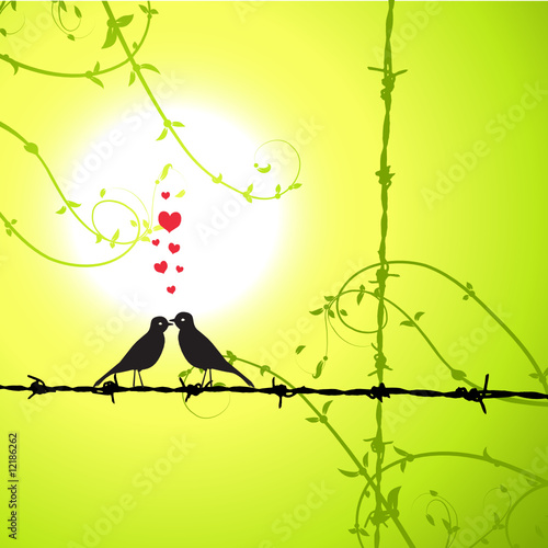 Love, birds kissing on branch