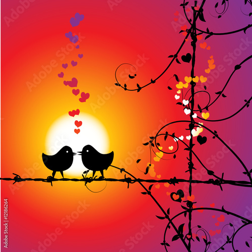 Love, birds kissing on branch