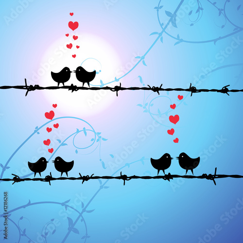 Love, birds kissing on branch