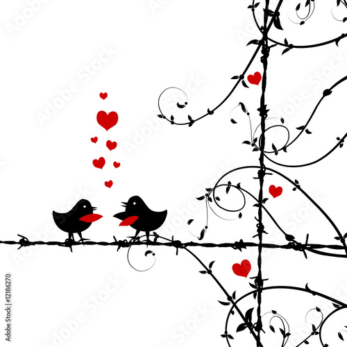 Love, birds kissing on branch