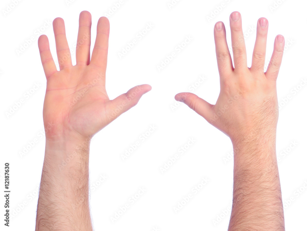 Male hands counting Male hands counting