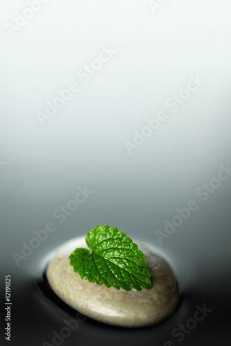 Stone in water with mint leaf