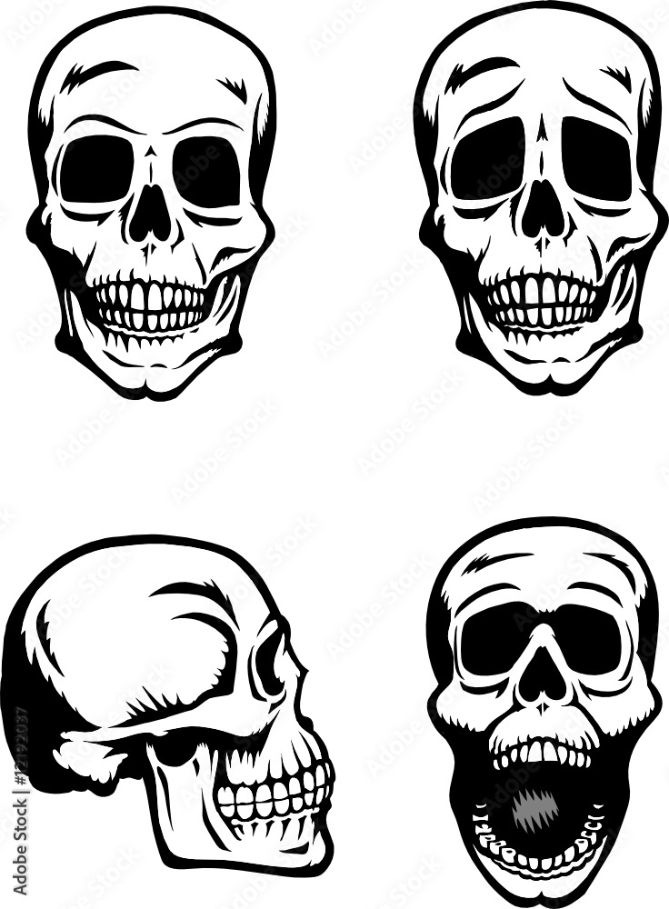 Fototapeta premium Different skull drawings
