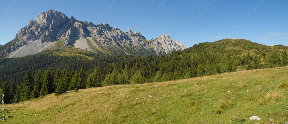Summer alpine panorama