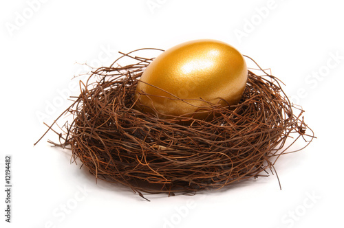 Gold egg in a real nest