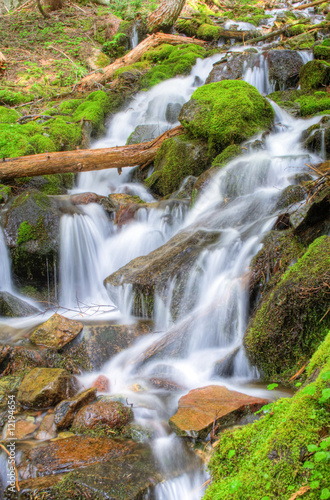 Rainier Waterfall