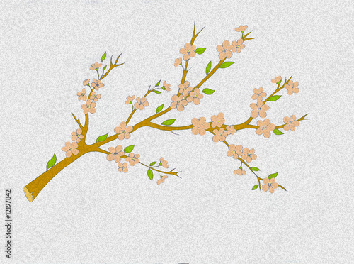 Fiori di pesco effetto spugna