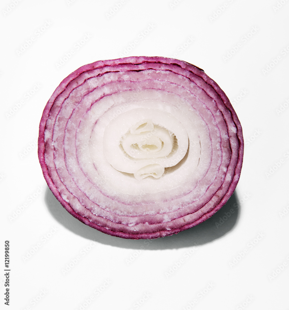 Fototapeta premium zwiebel