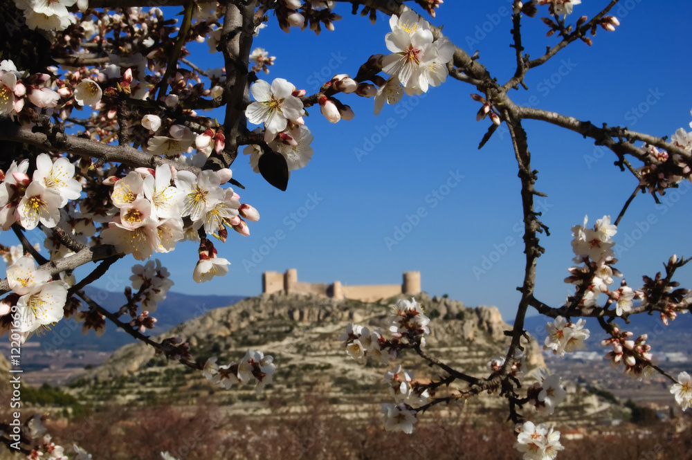 Spanish Castle with almonds tree flowering Spanish Castle with almonds tree flowering