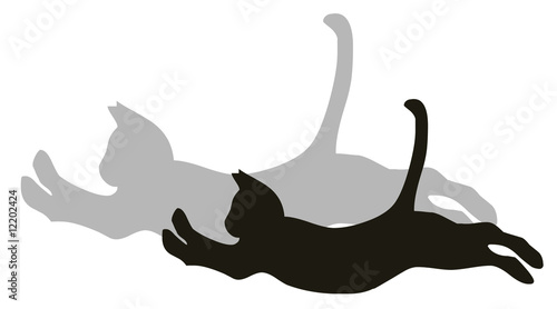 Chat noir bondissant et son ombre