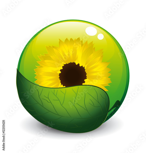 Sunflower globe with green leaf