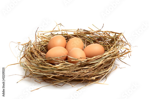Chicken eggs in a hay.