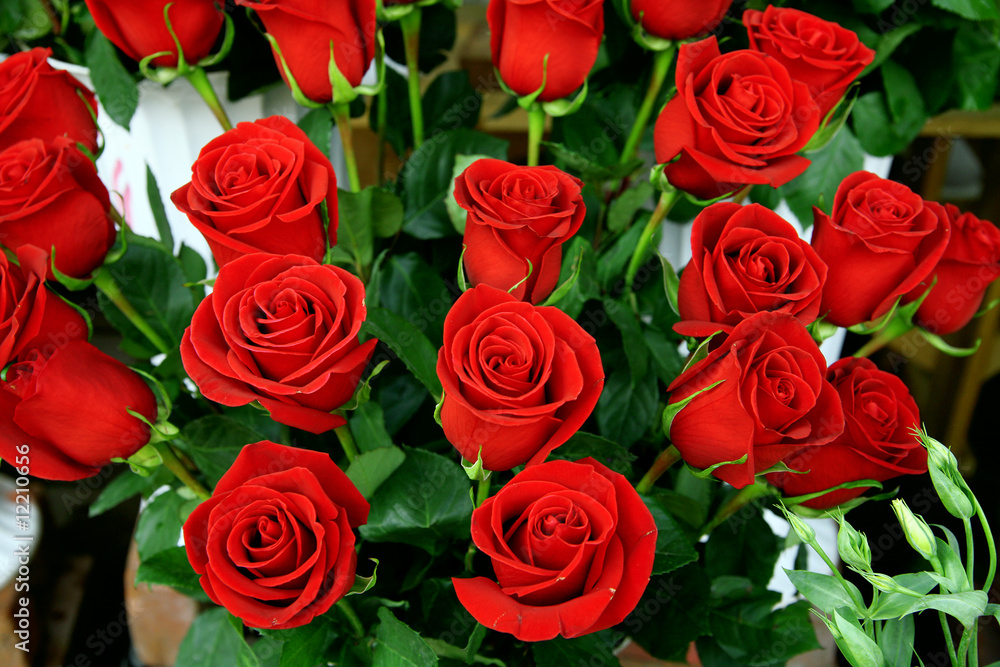 decorative beautiful bouquet of red fresh roses decorative beautiful bouquet of red fresh roses
