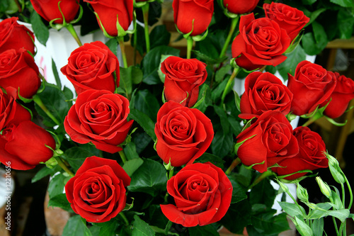 decorative beautiful bouquet of red fresh roses