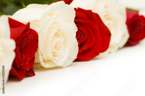Roses arranged on white background with copyspace