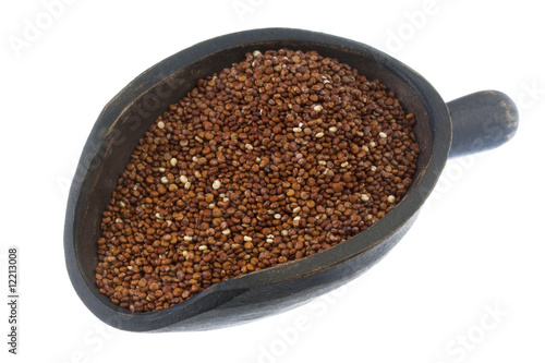 scoop of red quinoa grain
