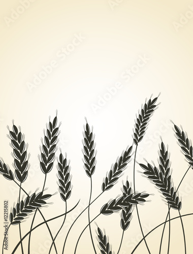Grain ears.