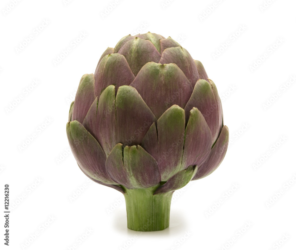 Obraz premium fresh artichoke on white background