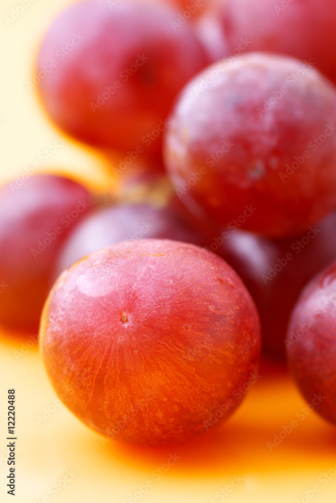 Grape close-up