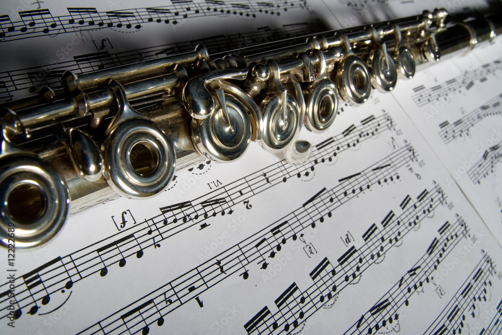 Naklejka premium Flute and notes