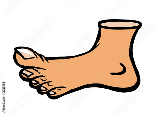 human foot