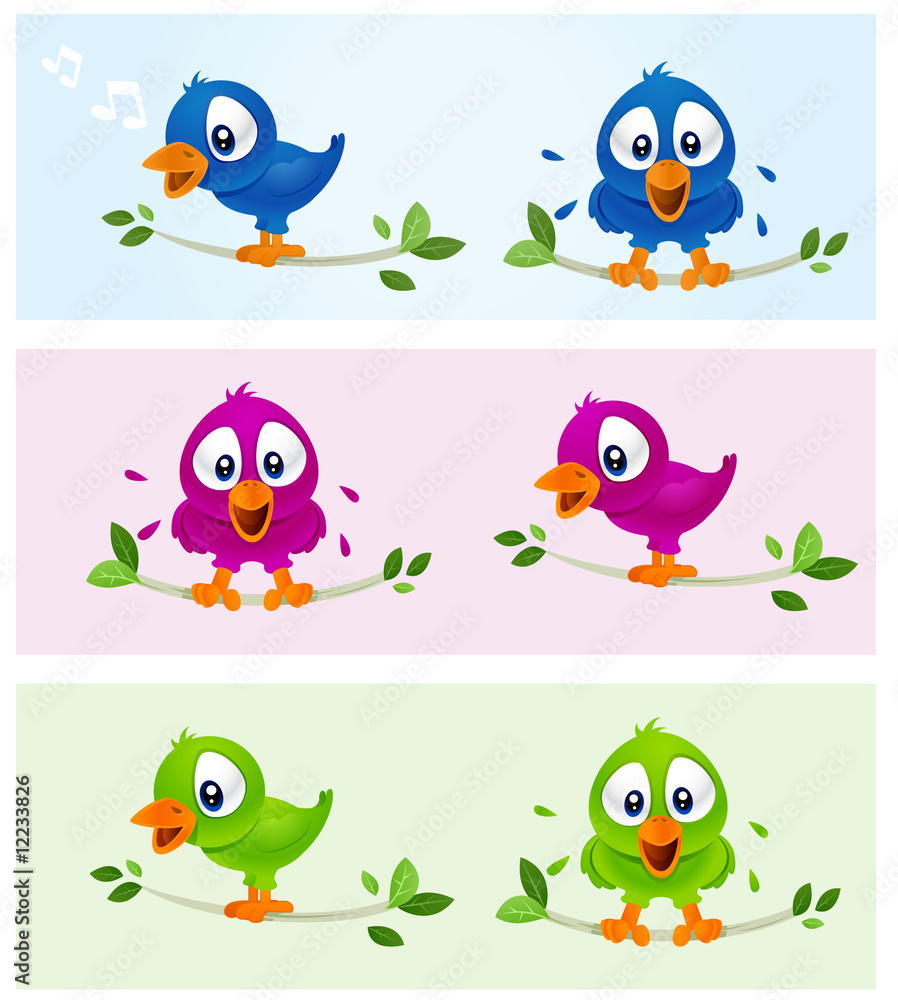 Fototapeta premium Birds in various color