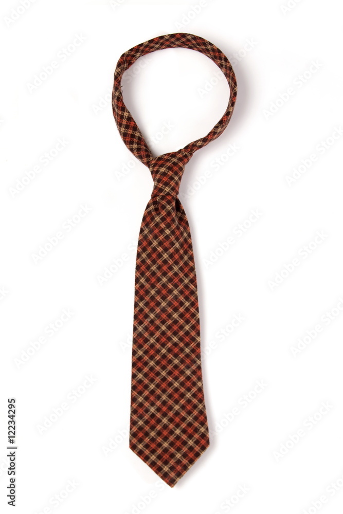 The checkered man's necktie on white background The checkered man's necktie on white background