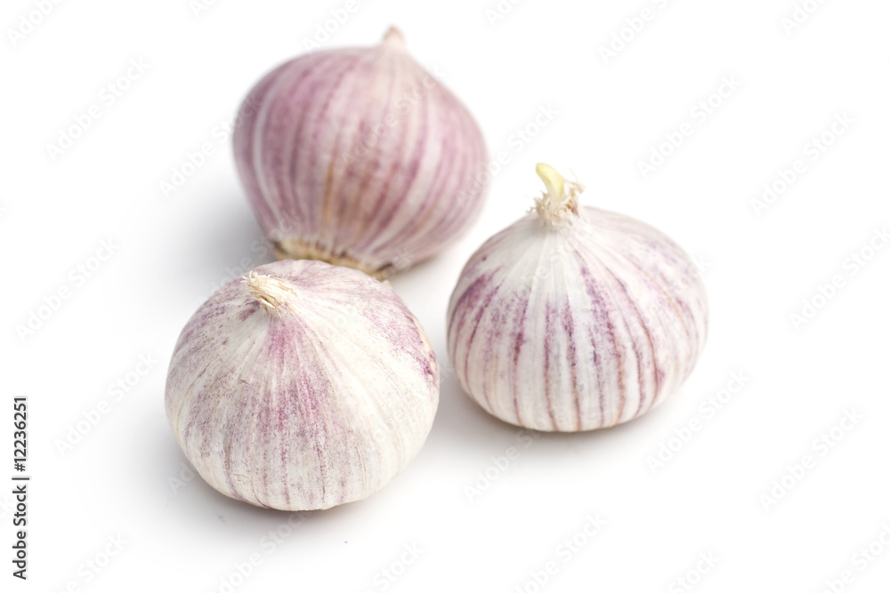 Fototapeta premium Garlic isolated on white