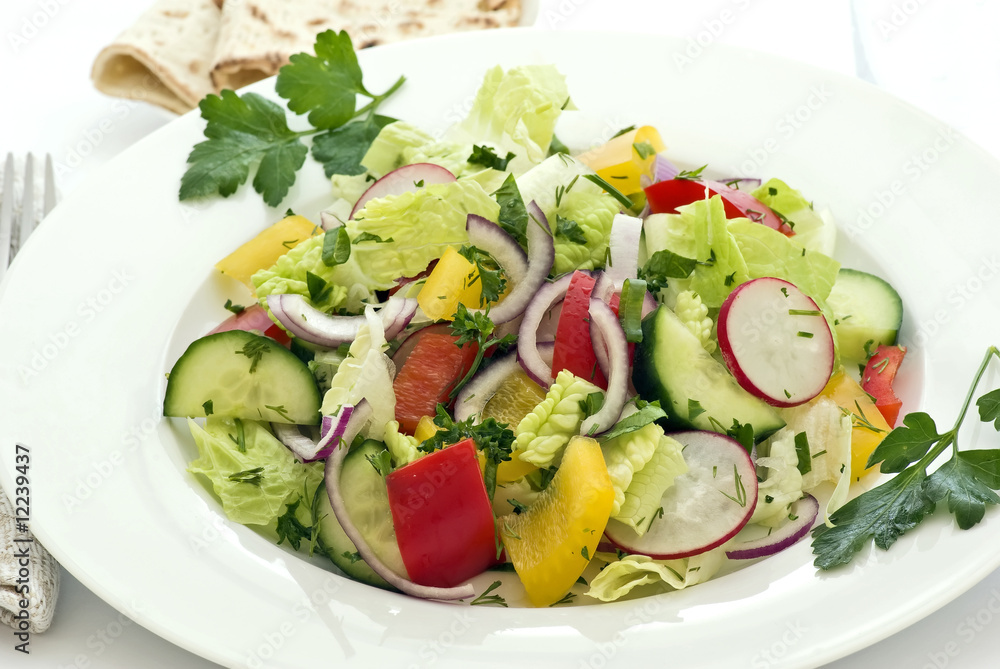 Bio Salat Bio Salat