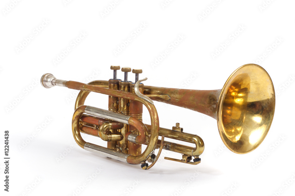 Obraz premium Trumpet