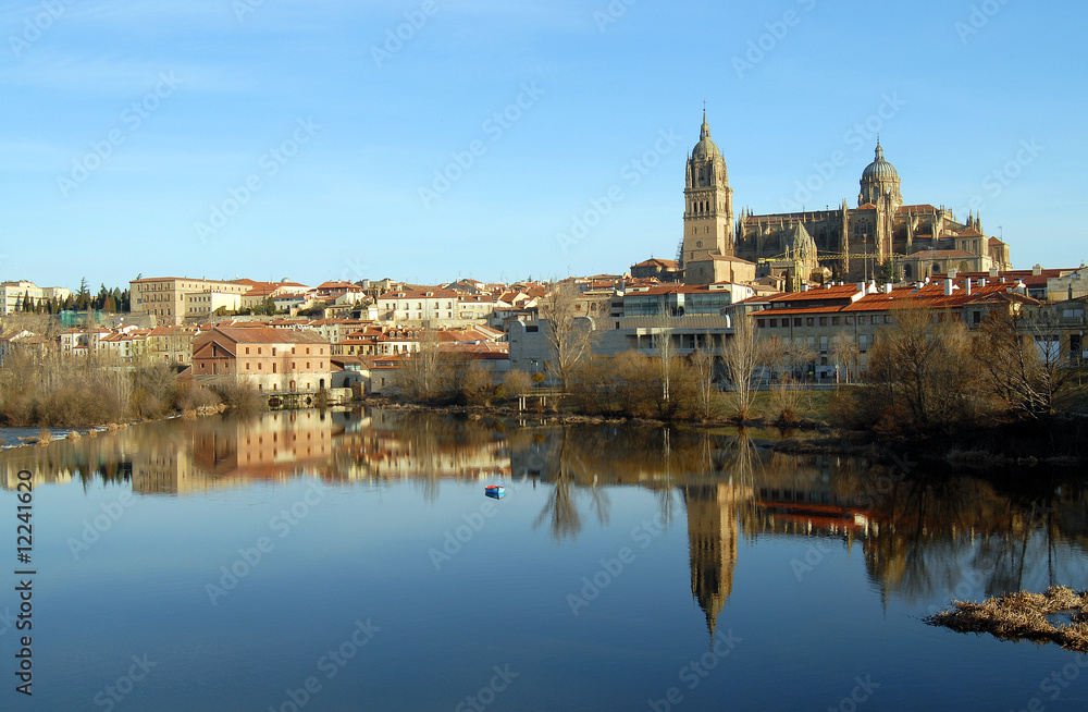 Fototapeta premium Vista de Salamanca