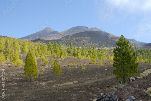 Teneriffa / Teide photo