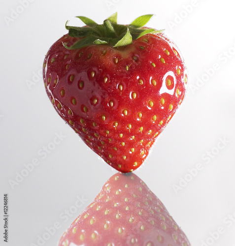 Erdbeere mit Spiegelung (strawberry)