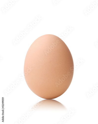 egg isolated on white