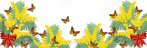 Banner orizzontale con mimosa e farfalle