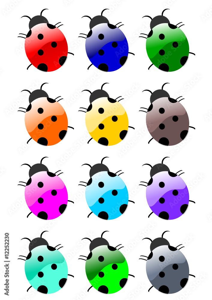Obraz premium coccinelles