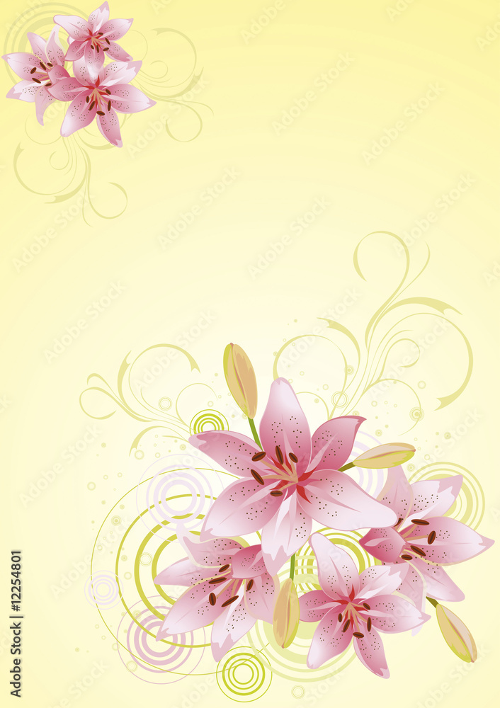 Lily pink, vector floral background Lily pink, vector floral background