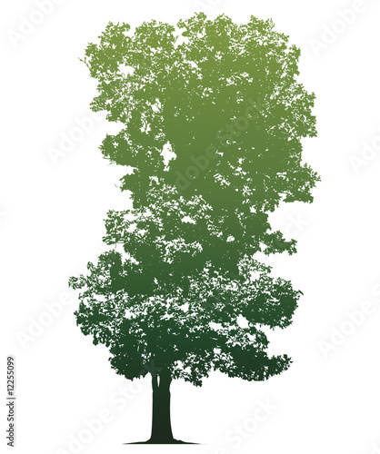 Vector tree 3