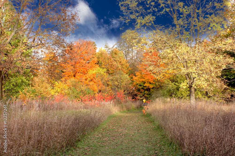 Autumn Autumn